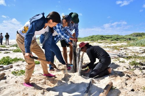 Estudiantes de la UACH se Suman Acciones de Restauración, Conservación y Educación Ambiental en Cozumel