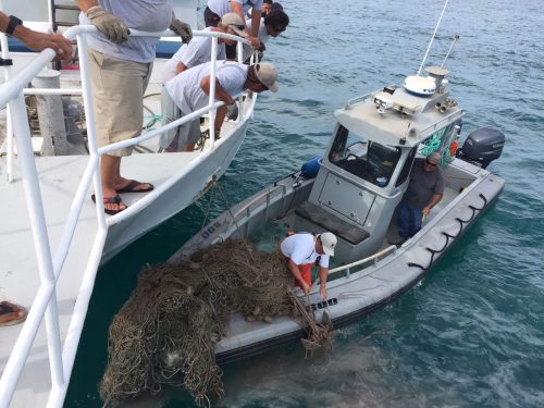 Continúan Acciones para Protección del Alto Golfo de California