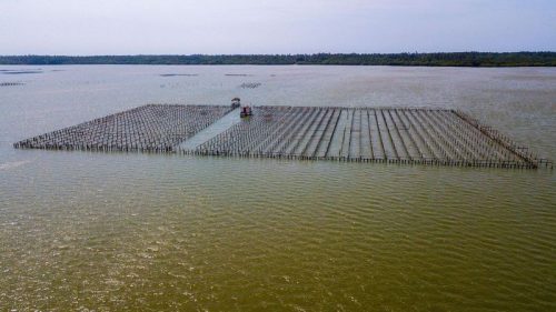 Reconoce Coneval a la Secretaría de Agricultura por el Desarrollo de la Plataforma AgroMonitor