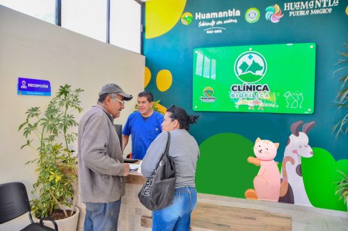 Servicios a Bajo Costo en Clínica Biofílica Canina y Felina de Humantla