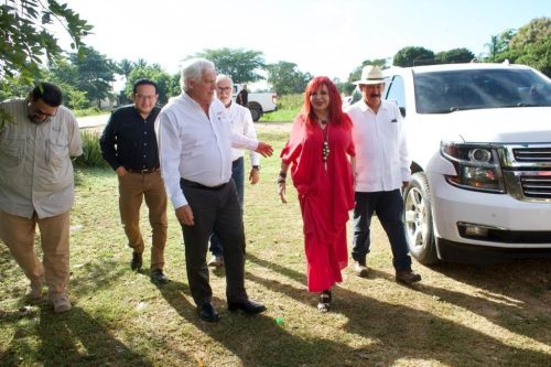 Reactiva Agricultura Cultivo de Arroz de Alta Calidad en Campeche