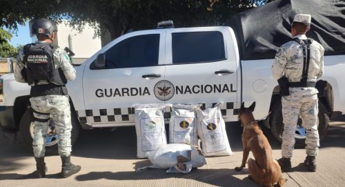 Incauta GN en Sinaloa 100 Kilos de Precursor para Drogas Sintéticas