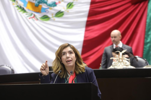 Melissa Vargas Propone Voto Obligatorio Para Aumentar Participación Electoral