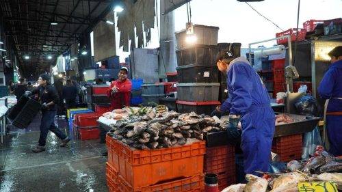 Durante la Cuaresma Pescadores y Acuicultores Aportan 26 % de la Producción Anual Marina