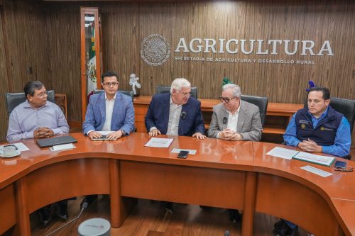 Acuerdan Productores, Industria y Gobierno Esquema Comercial para Maíz Blanco del Ciclo Otoño-Invierno 2023-2024