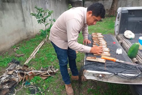 Convoca Agricultura a Presentar Candidatos para el Premio Nacional de Sanidad Vegetal 2024