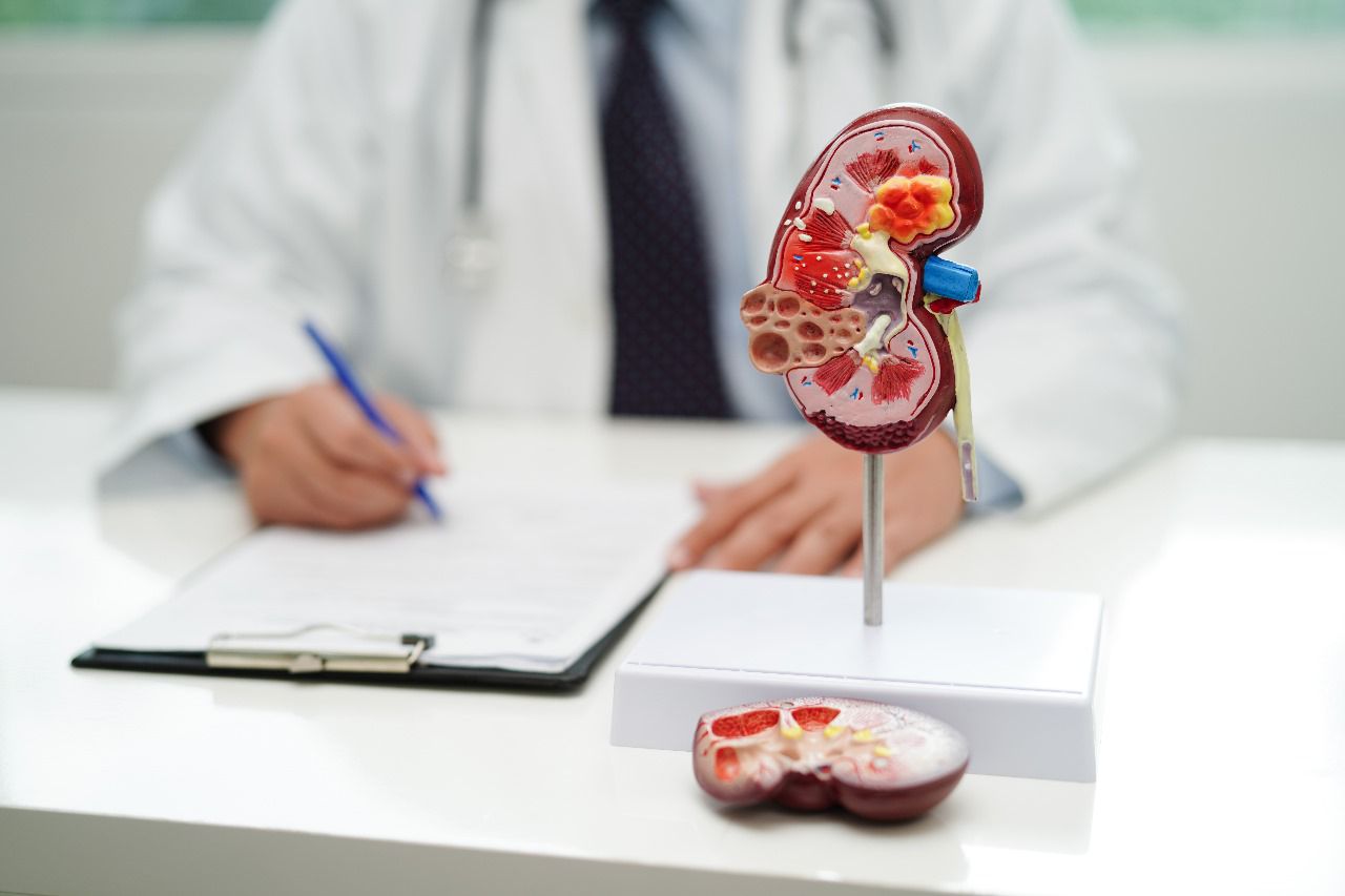 Día Mundial de la Salud y la Atención Médica Adecuada en torno a la Enfermedad Renal Crónica