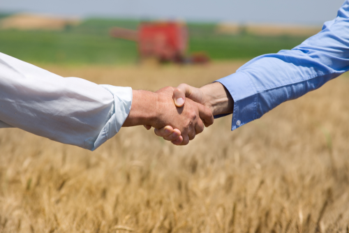 Ante Ola de Calor, piden en Senado Apoyar a Productores Agrícolas para Asegurar Cultivos