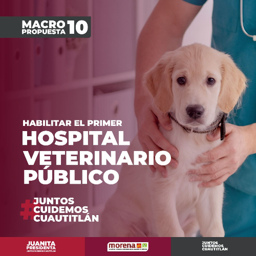 Juanita Carrillo Propone Hospital Veterinario Público en Cuautitlán