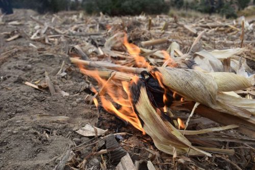 Refuerza Agricultura Acciones Contra Incendios Forestales y Erosión de Suelos por Quemas Agropecuarias