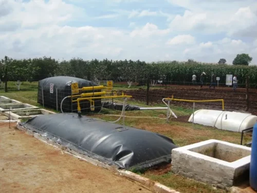 Promueve Agricultura Tecnología para Tratamiento de Residuos de Granjas Porcícolas