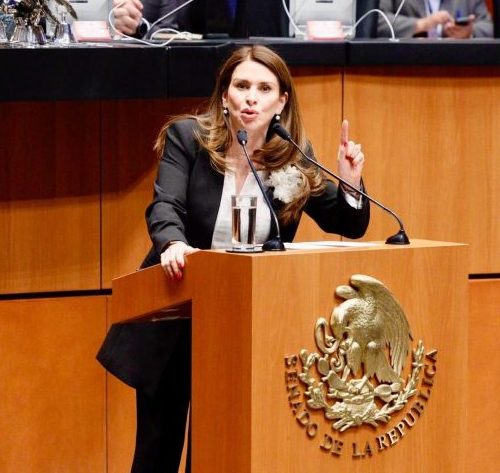 A los Juzagadores los Elegirá un Comité Dedignado por el Oficialismo: Carolina Viggiano