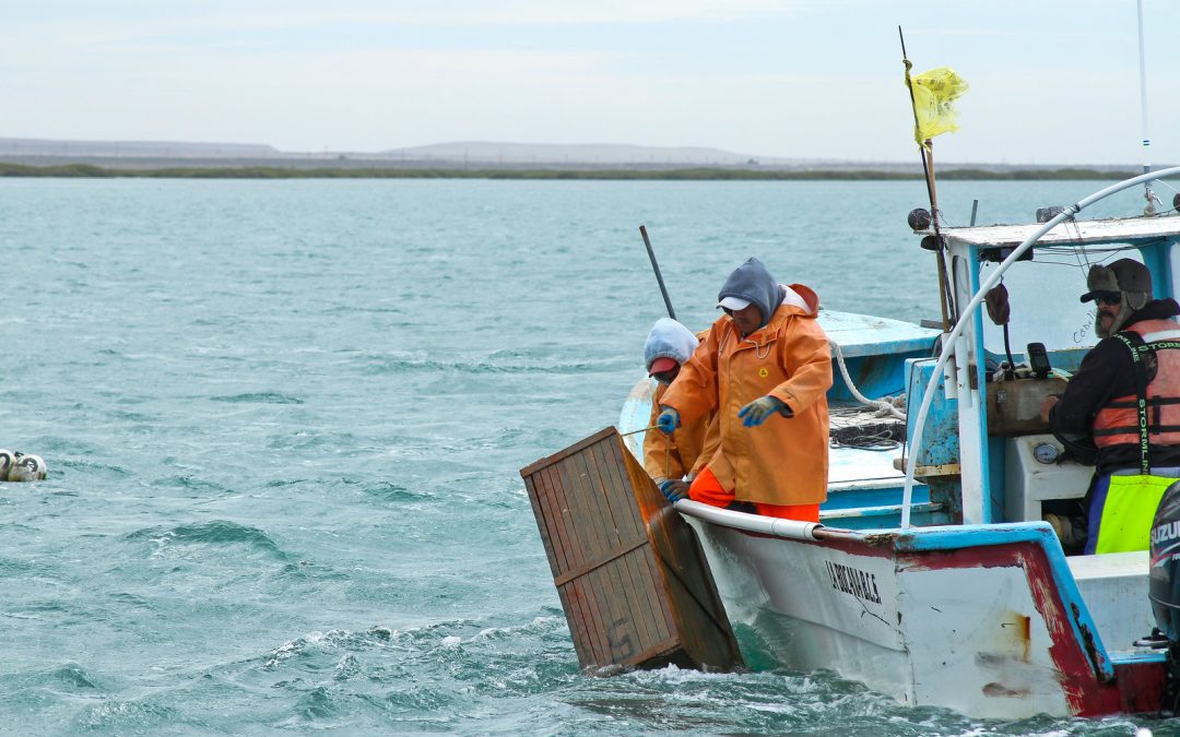 La Pesca Sostenible, Objetivo de la Conapesca en el 2º. Piso de la Cuarta Transformación