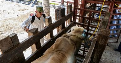 Amplia AGRICULTURA Vigencia del Dispositivo Nacional de Emergencia de Sanidad Animal