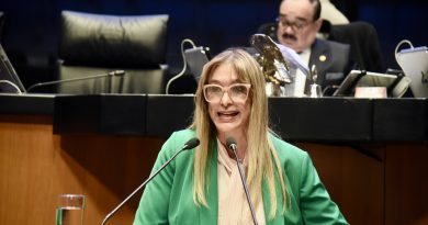 Impulsar Reconstrucción del Tejido Social en Zonas Violentas: Exhorta Senadora del PVEM