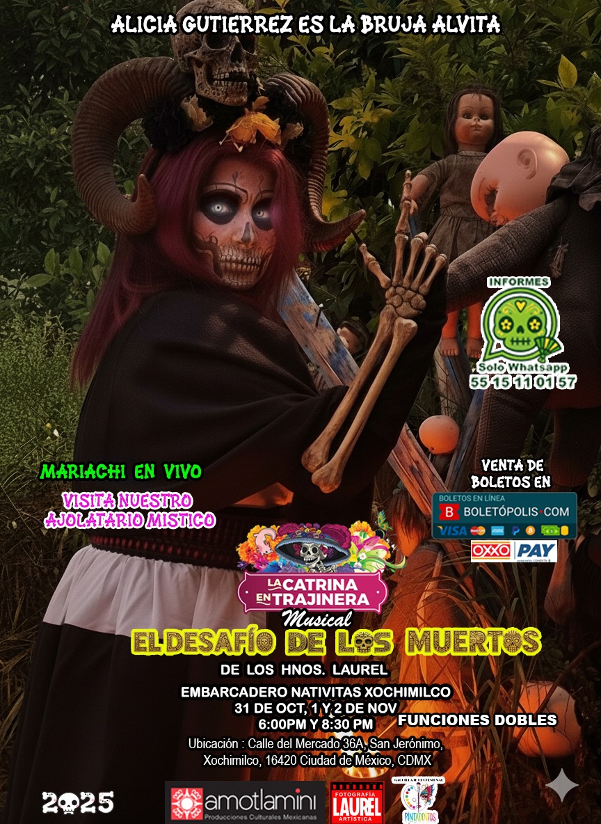 Imagen 6