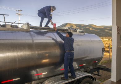 Centros de Acopio de Leche para el Bienestar operarán en Semana Santa