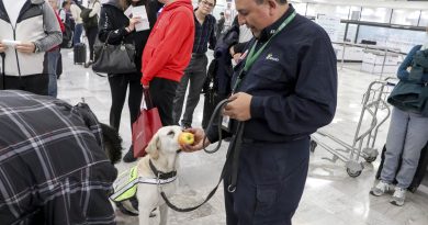 Durante Puente Vacacional Refuerza Senasica inspección en 97 puntos de ingreso al país