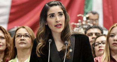 Propone Diputada Ealy Díaz reconocer Violencia Estética como modalidad de Violencia de Género