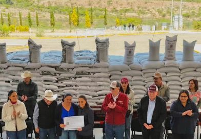 México alcanzó autosuficiencia en frijol gracias a Zacatecas: Presidenta Claudia Sheinbaum