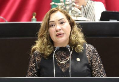 Piden incorporar en la Ley General de los Derechos de Niñas, Niños y Adolescentes garantías de protección contra Violencia Vicaria