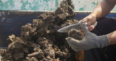 Inicia abril con periodos de veda y captura en 15 estados de la República