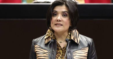 Plantea PVEM prohibir a proveedores de bienes o servicios condicionar devolución del precio pagado por vales o monederos