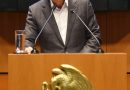 Impulsa PVEM desde el Senado declarar 15 de Octubre como Día de la Artesana Chiapaneca