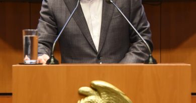 Impulsa PVEM desde el Senado declarar 15 de Octubre como Día de la Artesana Chiapaneca