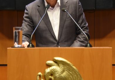 Impulsa PVEM desde el Senado declarar 15 de Octubre como Día de la Artesana Chiapaneca