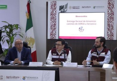 A punto de arrancar la Copa Mundial, AGRICULTURA y OIRSA (organismo multinacional) fortalecen con binomios caninos la inspección agroalimentaria