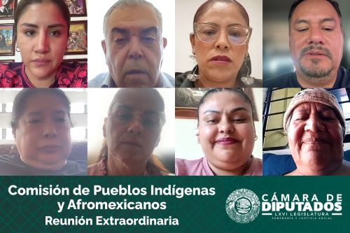 Comisión de Pueblos Indígenas acuerda citar a comparecer al titular del INPI, Adelfo Regino