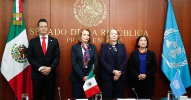 Indispensable impulsar visión interdisciplinaria en la atención de los fenómenos criminales