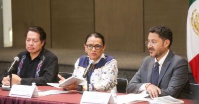 Gobierno federal reitera llamado a la CNTE para solución a sus demandas