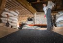 Más de 18 mil productoras y productores recibirán semilla certificada de frijol en Durango y Zacatecas 