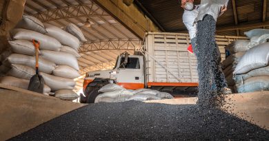 Más de 18 mil productoras y productores recibirán semilla certificada de frijol en Durango y Zacatecas 