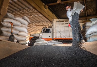 Más de 18 mil productoras y productores recibirán semilla certificada de frijol en Durango y Zacatecas 