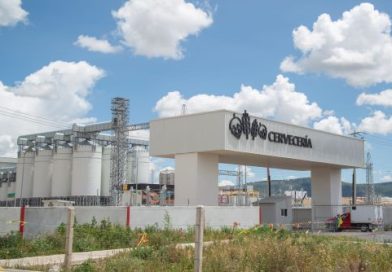 Exportaciones de cerveza mexicana superan 6 Mil 400 MDD y llegan a 98 países Por Elías L Fonseca *México concentra el 36% del valor de las ventas globales del sector y rebasa a Países Bajos, Bélgica y Alemania*Los principales compradores son Estados Unidos, con 6,046 mdd; República Dominicana, con 49 mdd, y España, con 39 mdd*AGRICULTURA refrenda su compromiso de impulsar programas y proyectos que fortalezcan la productividad, la innovación y la competitividad de esta cadena productiva Global Press Mx / La Secretaría de Agricultura y Desarrollo Rural (AGRICULTURA) informa que México reafirmó su liderazgo mundial en la exportación de cerveza, al alcanzar ventas por 6 mil 480 millones de dólares (mdd) y llegar a consumidores de 98 países durante 2025. Precisa que nuestro país mantuvo una participación promedio de 36 por ciento del valor de las exportaciones mundiales de cerveza en ese periodo, al pasar de 5 mil 618 mdd en 2021 a 6 mil 480 mdd en 2025, como resultado de su creciente competitividad, calidad y reconocimiento a nivel internacional. Con este resultado se colocó en el primer lugar entre los principales países exportadores de cerveza y, de esta manera, superó ampliamente a Países Bajos, Bélgica y Alemania. Entre los cinco principales destinos de la bebida mexicana se encuentran Estados Unidos, con 6 mil 046 mdd; República Dominicana, con 49 mdd; España, con 39 mdd; Perú, con 37 mdd y Panamá, con 32 mdd, al cierre de 2025. A ellos se suman Países Bajos, con 31 mdd; Guatemala, con 27 mdd; Puerto Rico, con 20 mdd; Honduras, con 14 mdd; El Salvador, con 13 mdd y otras naciones, con 173 mdd. En el Día Internacional de la Cerveza, que es celebrado cada primer viernes de agosto, indica que México sostuvo un volumen promedio anual de 4 mil 316 millones de litros en los últimos cinco años, es decir, pasó de enviar 4 mil 253 millones de litros a 4 mil 285 millones de litros. Estos resultados reflejan la capacidad productiva —en particular de las y los productores mexicanos de cereales malteados como cebada, trigo y maíz—, la calidad e inocuidad de la agroindustria mexicana y el trabajo conjunto con las autoridades federales y estatales para fortalecer la competitividad y ampliar la presencia de los productos mexicanos en los mercados internacionales. La Secretaría de Agricultura y Desarrollo Rural, encabezada por Columba Jazmín López Gutiérrez, refrenda su compromiso de impulsar programas y proyectos que fortalezcan la productividad, la innovación y la competitividad de la cadena productiva de cerveza, por los distintos beneficios a la economía familiar y nacional