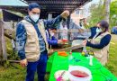 AGRICULTURA y “Sembrando Vida” capturan 16 millones de moscas del GBG con trampas artesanales