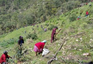 Llama AGRICULTURA a participar en la Jornada Nacional de Reforestación 2026