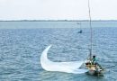 IMIPAS reunirá a 300 especialistas para impulsar el desarrollo sustentable de la pesca y la acuacultura