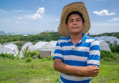 Entrega AGRICULTURA Mil 763 créditos “Cosechando Soberanía” en Tamaulipas