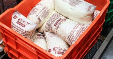 Leche para el Bienestar supera 13 mil 500 puntos de distribución y atiende a 90.2% de los municipios del país
