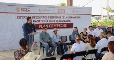 Inicia AGRICULTURA entrega de apoyos a ganaderos del Plan Campeche 2026