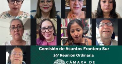 Comisión Camaral participará en Encuentro Internacional para la Construcción de la Frontera Sur Industrial
