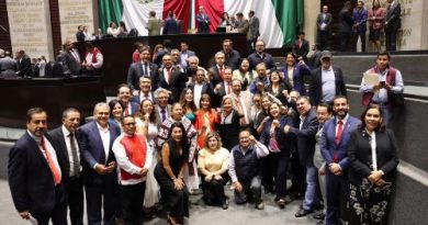Legisladores federales del PT respaldan iniciativa presidencial para regular acceso de infancias a redes sociales