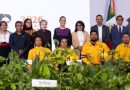 Presidenta presenta Jornada Nacional de Reforestación 2026; se plantarán 6.6 millones de árboles y plantas