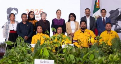 Presidenta presenta Jornada Nacional de Reforestación 2026; se plantarán 6.6 millones de árboles y plantas