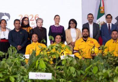 Presidenta presenta Jornada Nacional de Reforestación 2026; se plantarán 6.6 millones de árboles y plantas