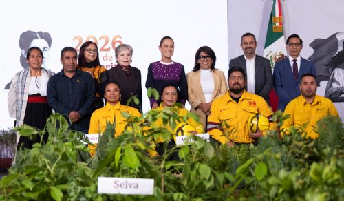 Presidenta presenta Jornada Nacional de Reforestación 2026; se plantarán 6.6 millones de árboles y plantas